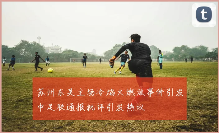 苏州东吴主场冷焰火燃放事件引发中足联通报批评引发热议