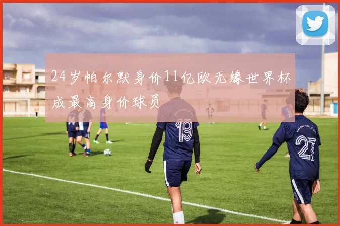 24岁帕尔默身价11亿欧无缘世界杯成最高身价球员